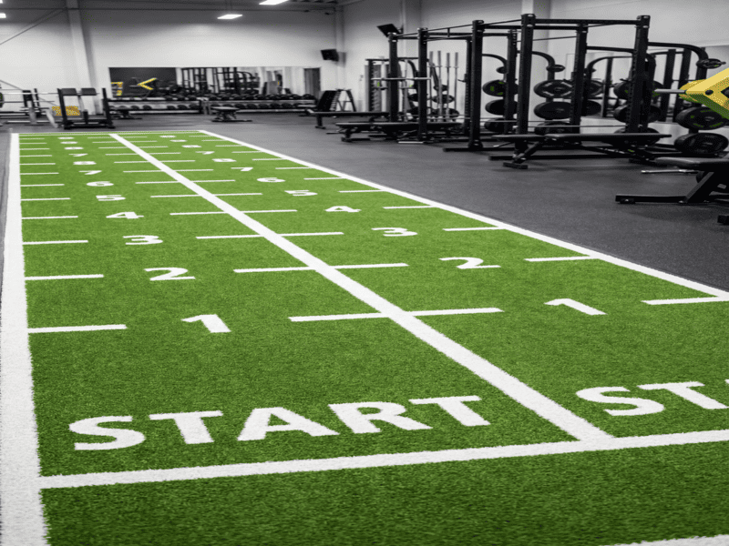 shaded gym turf mold prevention